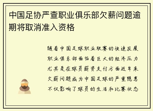 中国足协严查职业俱乐部欠薪问题逾期将取消准入资格 中国足协严查职业俱乐部欠薪问题逾期将取消准入资格
